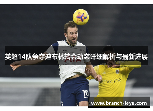 英超14队争夺迪布林转会动态详细解析与最新进展