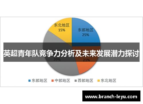 英超青年队竞争力分析及未来发展潜力探讨 英超青年队竞争力分析及未来发展潜力探讨