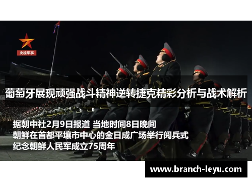 葡萄牙展现顽强战斗精神逆转捷克精彩分析与战术解析 葡萄牙展现顽强战斗精神逆转捷克精彩分析与战术解析