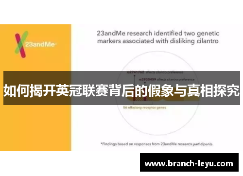 如何揭开英冠联赛背后的假象与真相探究 如何揭开英冠联赛背后的假象与真相探究