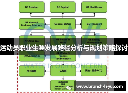 运动员职业生涯发展路径分析与规划策略探讨