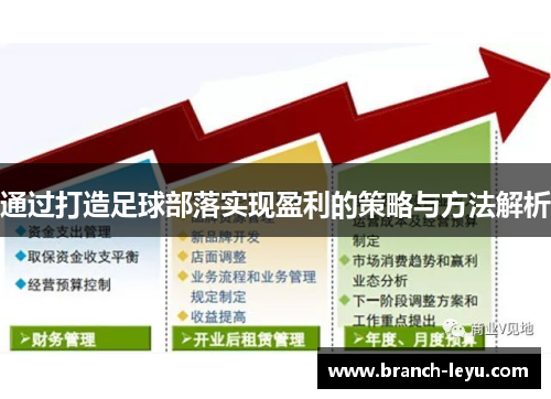 通过打造足球部落实现盈利的策略与方法解析