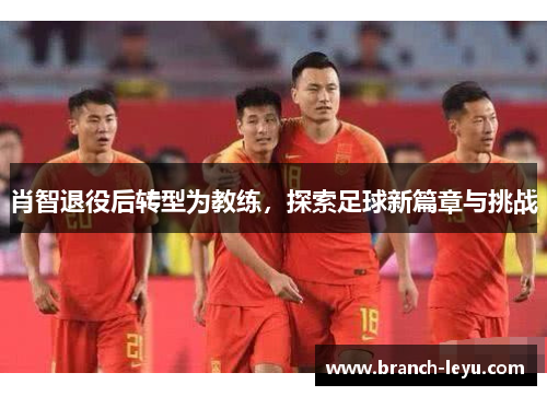 肖智退役后转型为教练，探索足球新篇章与挑战