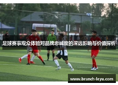 足球赛事观众体验对品牌忠诚度的深远影响与价值探析