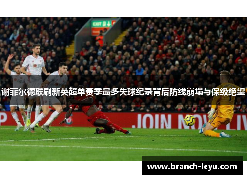 谢菲尔德联刷新英超单赛季最多失球纪录背后防线崩塌与保级绝望 谢菲尔德联刷新英超单赛季最多失球纪录背后防线崩塌与保级绝望