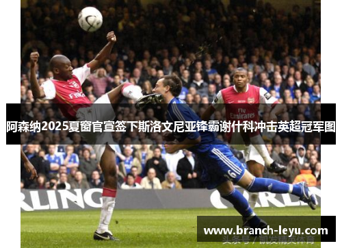 阿森纳2025夏窗官宣签下斯洛文尼亚锋霸谢什科冲击英超冠军图