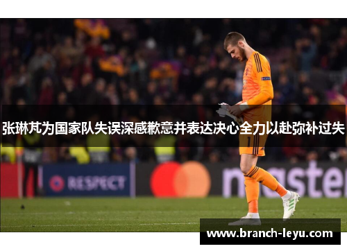 张琳芃为国家队失误深感歉意并表达决心全力以赴弥补过失 张琳芃为国家队失误深感歉意并表达决心全力以赴弥补过失